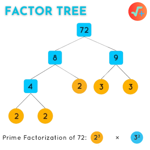 Prime Factorization | Factor Tree of 72