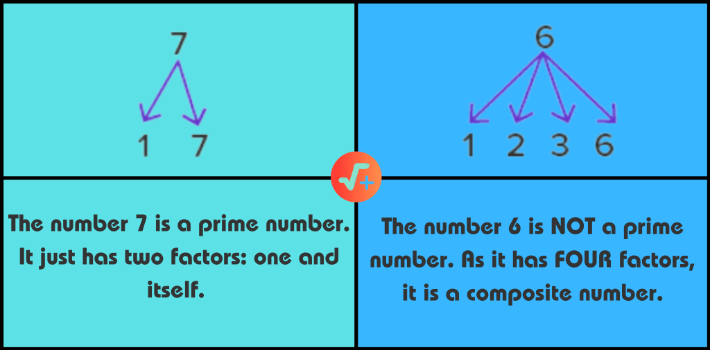 Prime Numbers | Examples and Non-Examples