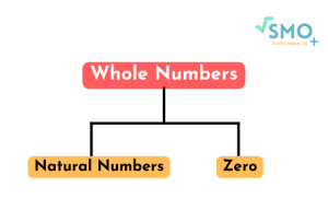 whole-numbers-definition